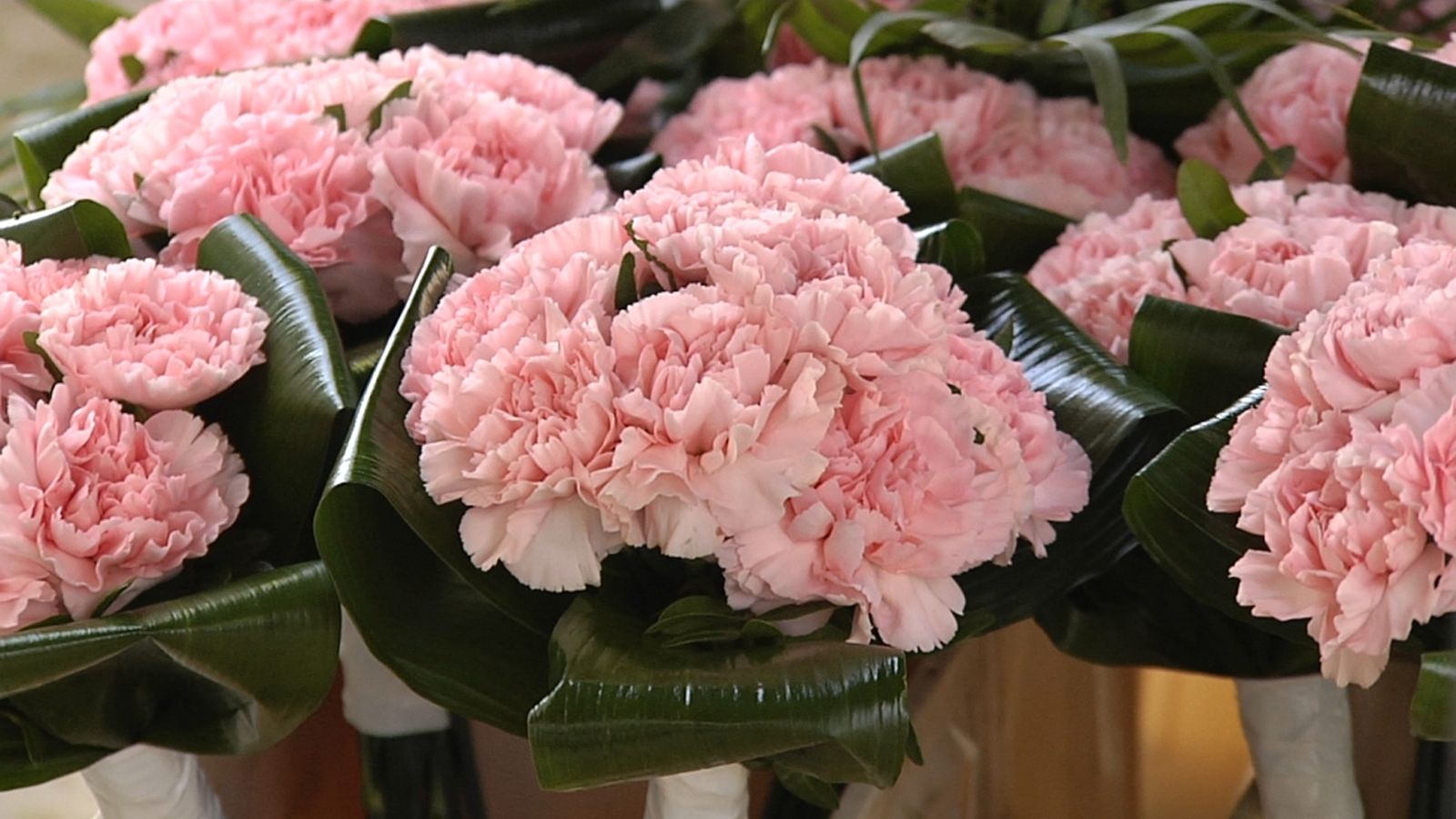 Les floristeries ja preparen els rams per a l'Ofrena de la Falles 2022