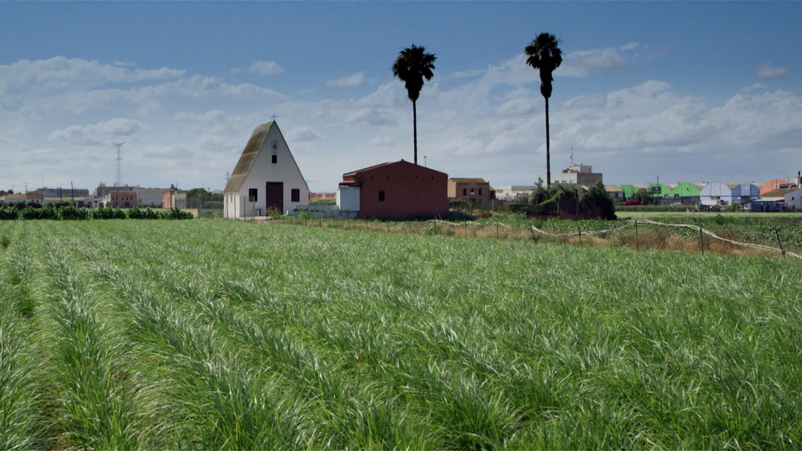 L'Horta de València, el futur