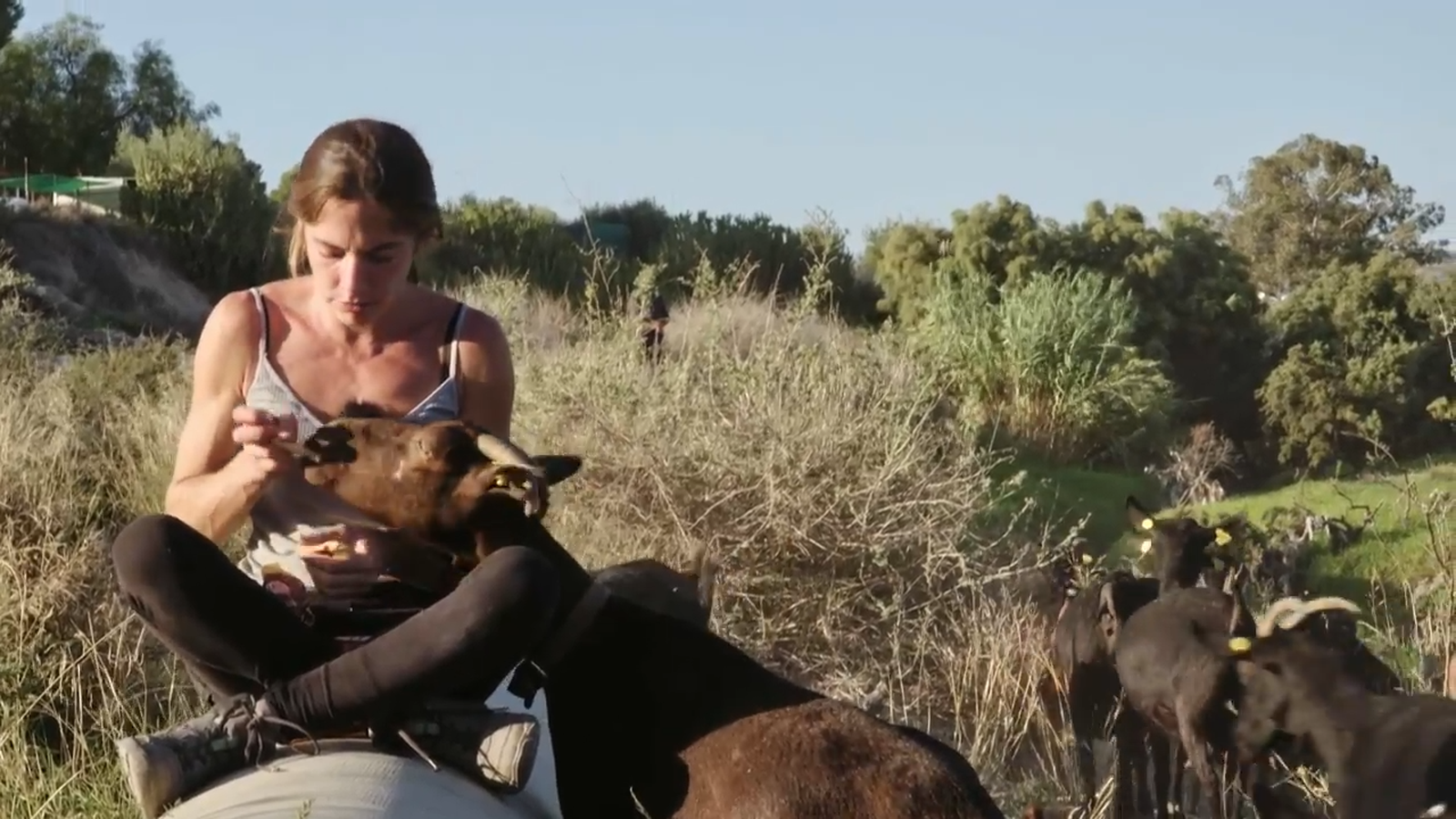 De mar i bancal | Dies difícils