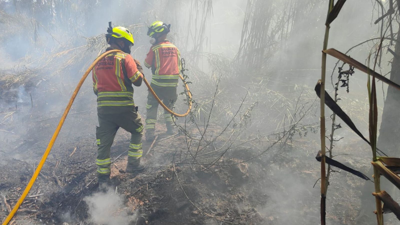 Els bombers treballen en les tasques d'extinció de l'incendi
