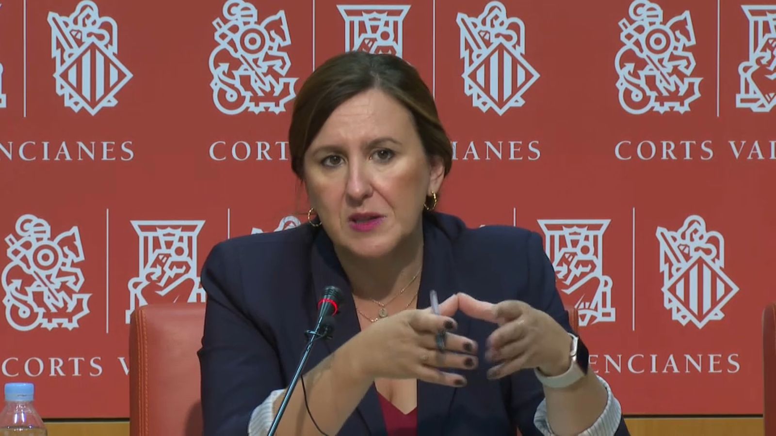 La síndica del PP Maria José Català a les Corts