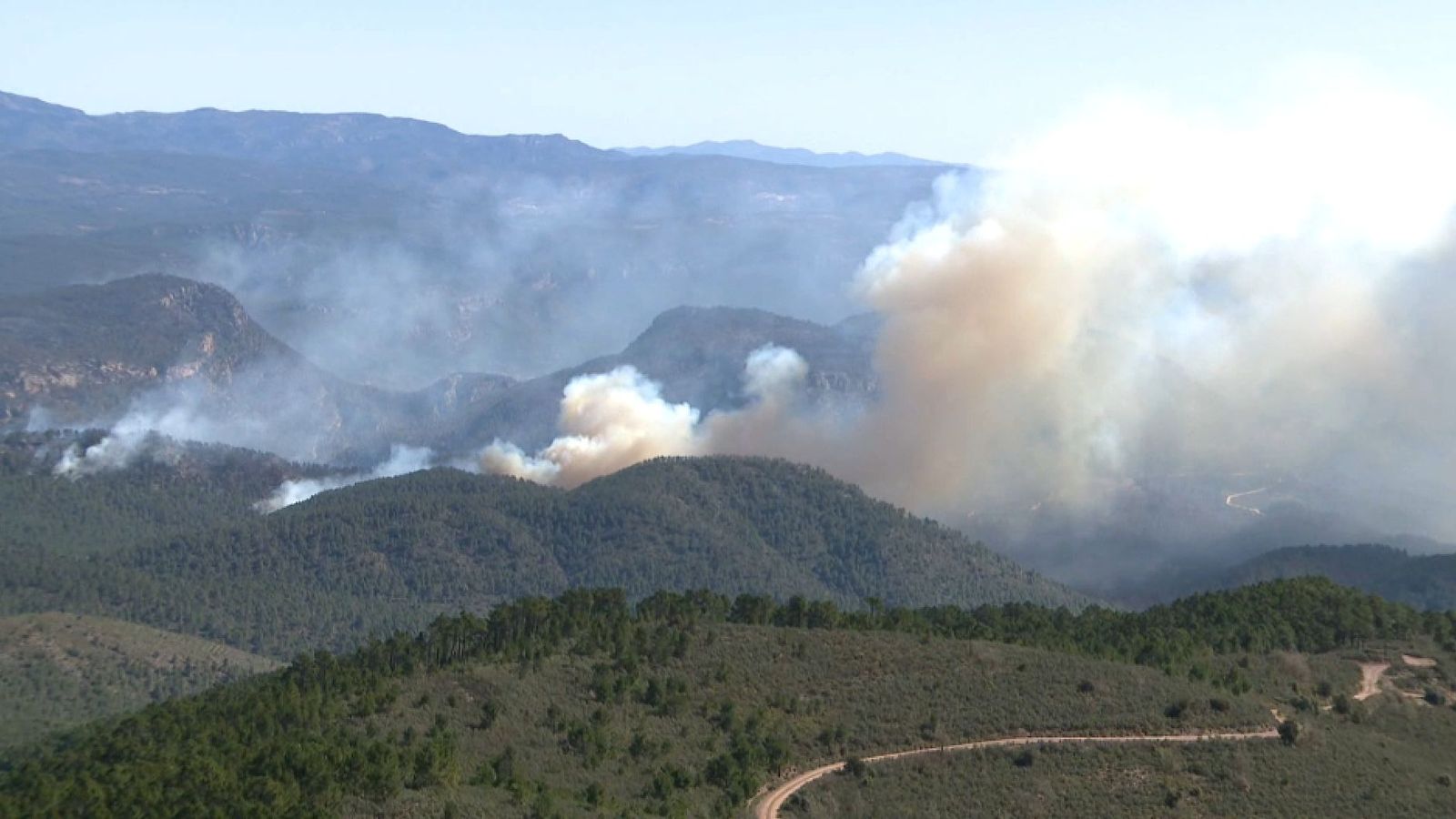 L'acumulació de vegetació és un dels factors que determinen la voracitat d'un incendi