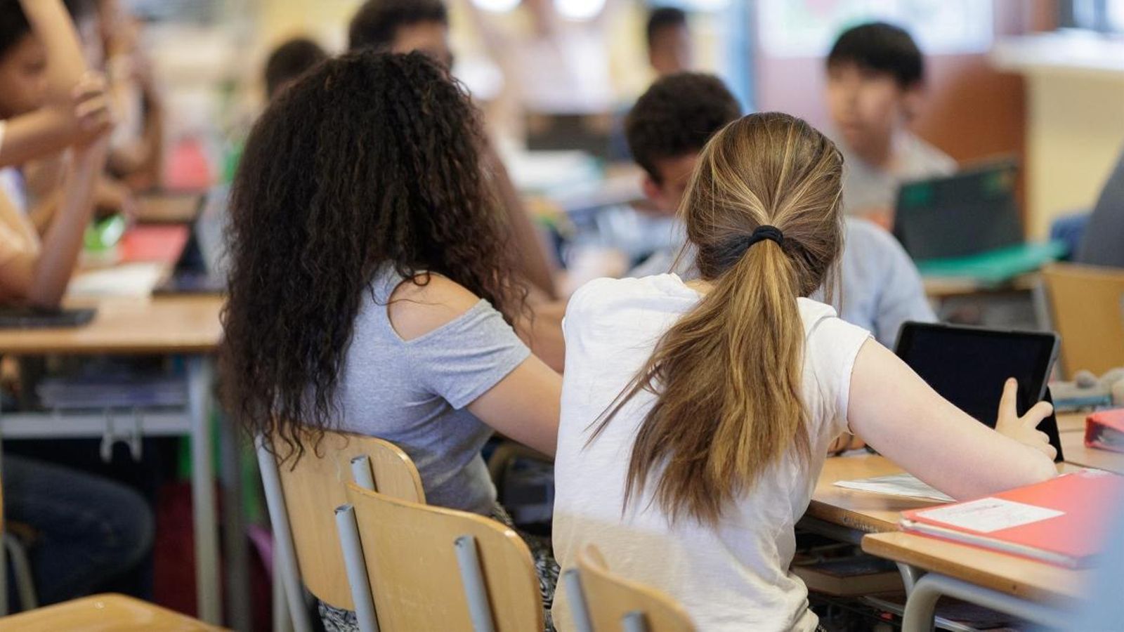 La Comissió valora que l'índex d'abandó escolar del 18,3% continua sent “excessivament alt”