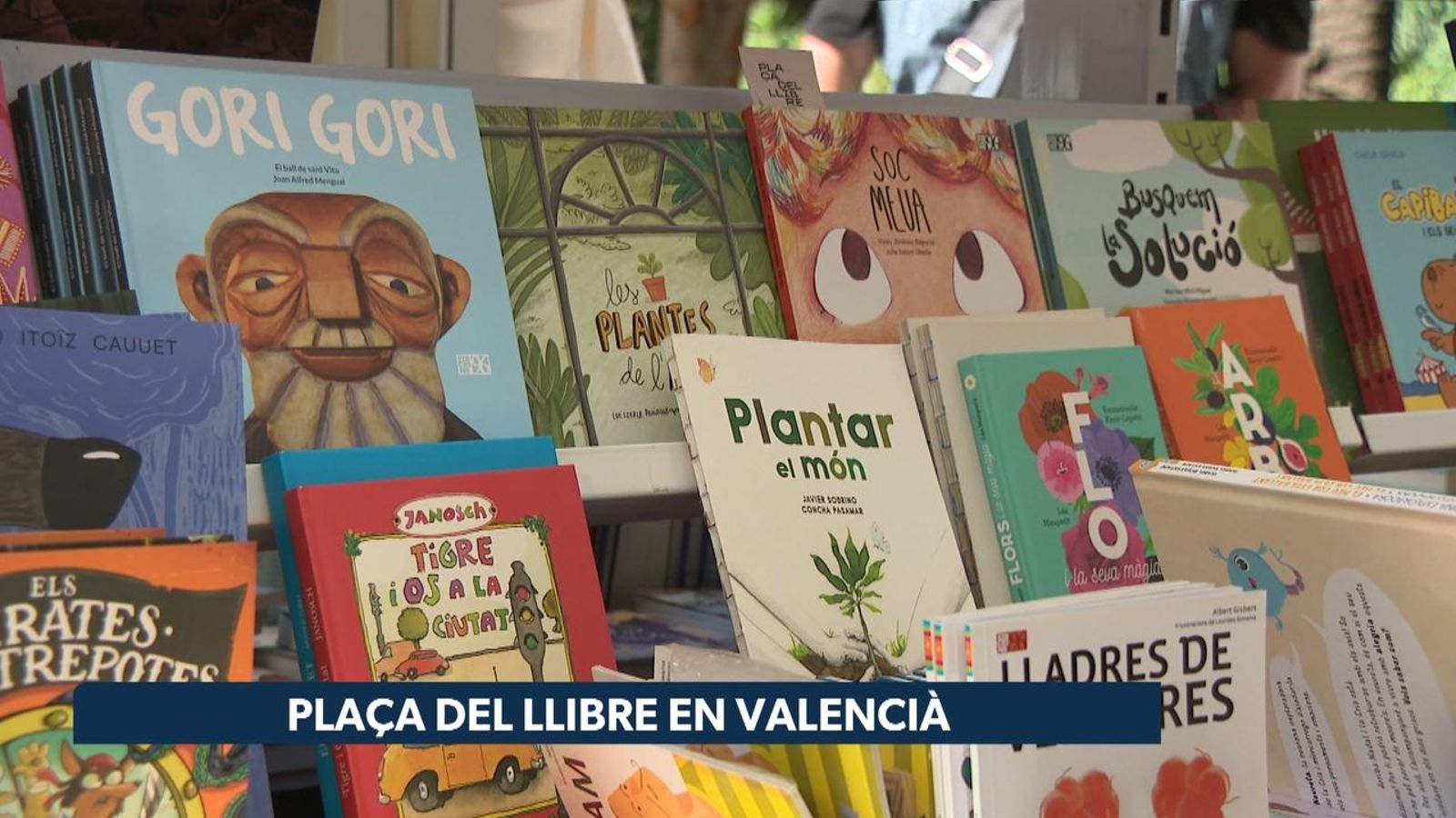 Plaça del llibre en valencià