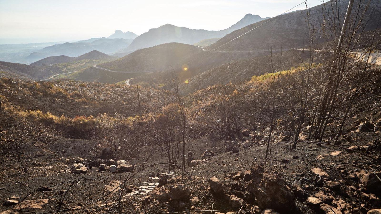 Paisatge devastat després de l'incendi forestal de la Vall d'Ebo