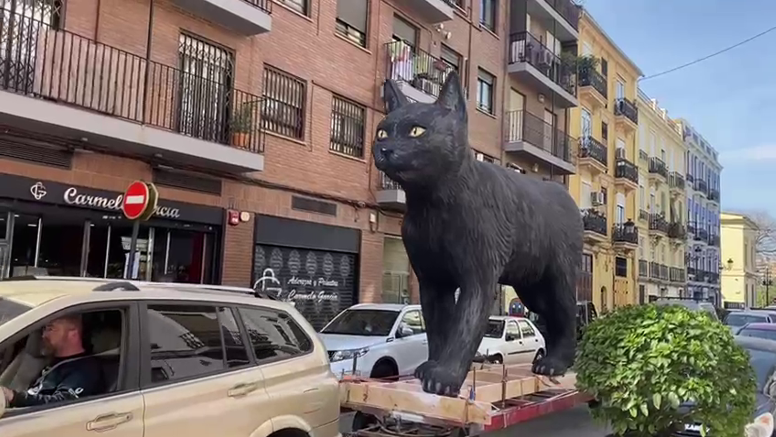 El gat negre de la falla Corona viatja cap a la ubicació habitual del monument El gat negre de la falla Corona viatja cap a la ubicació habitual del monument