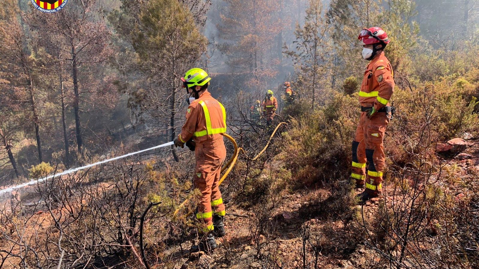 Bombers treballen en l'incendi de Moixent