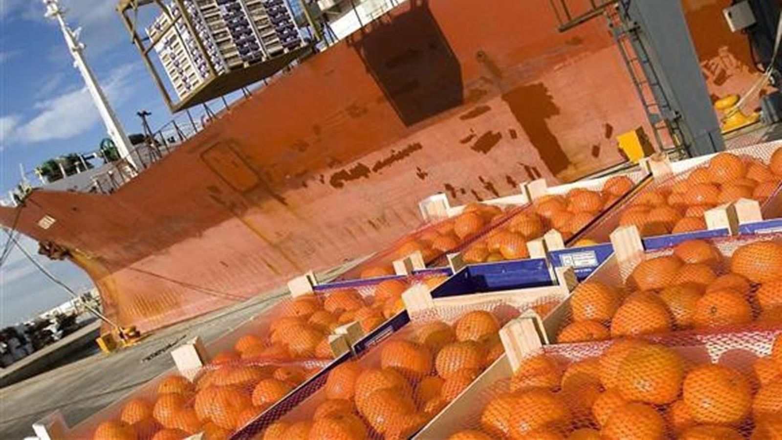 La Unió denuncia que Sud-àfrica i el Mercosur usen pesticides prohibits per la UE