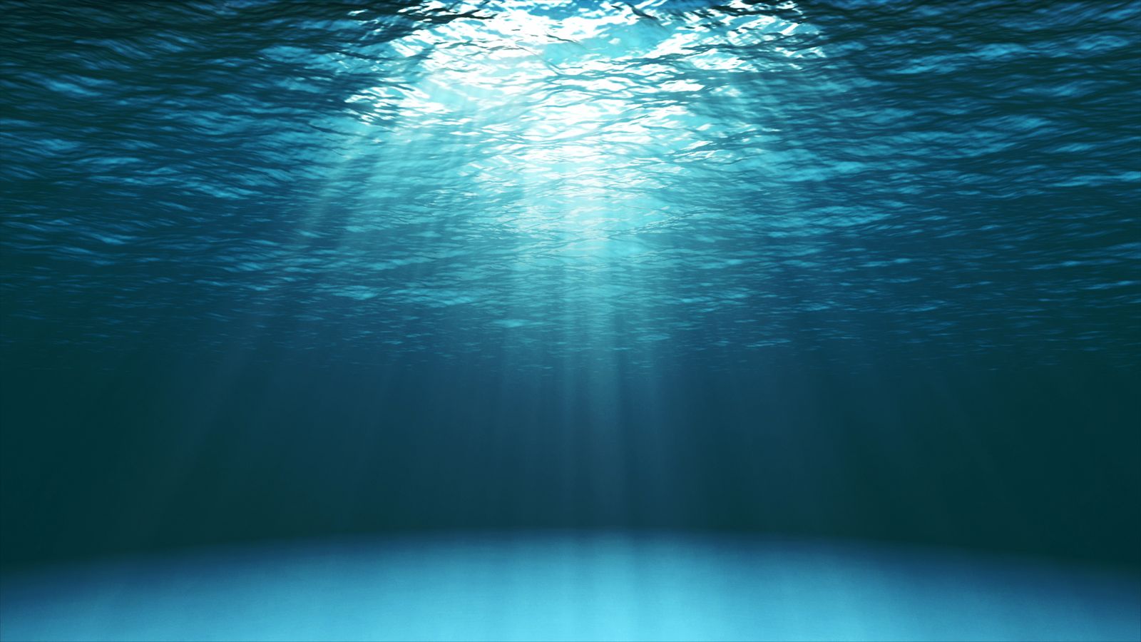 09.03.2023 | El 30% dels oceans quedaran blindats per un tractat de les Nacions Unides que amplia la protecció en alta mar