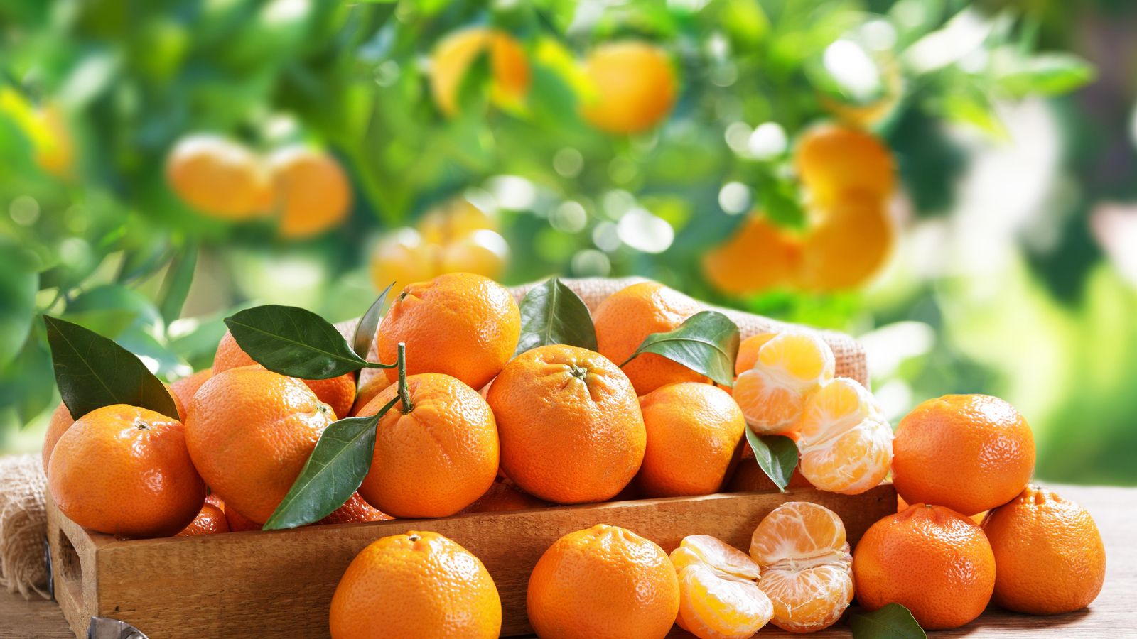 El preu de les mandarines s'eleva a 0,33 €/kg