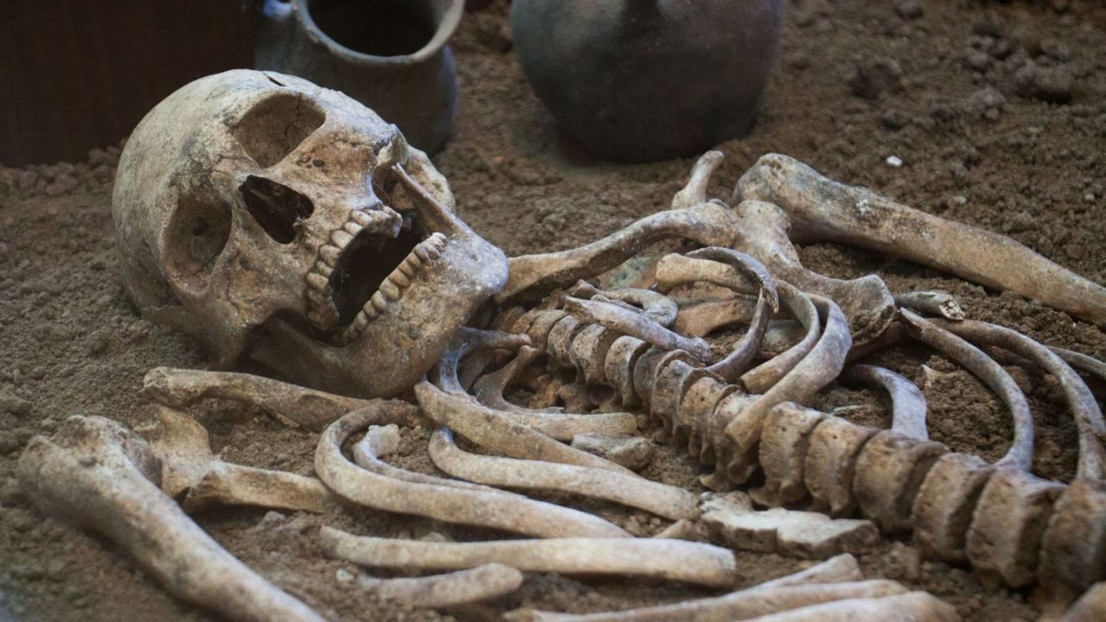 15.02.2022 | 'Ciència': Paleogenètica