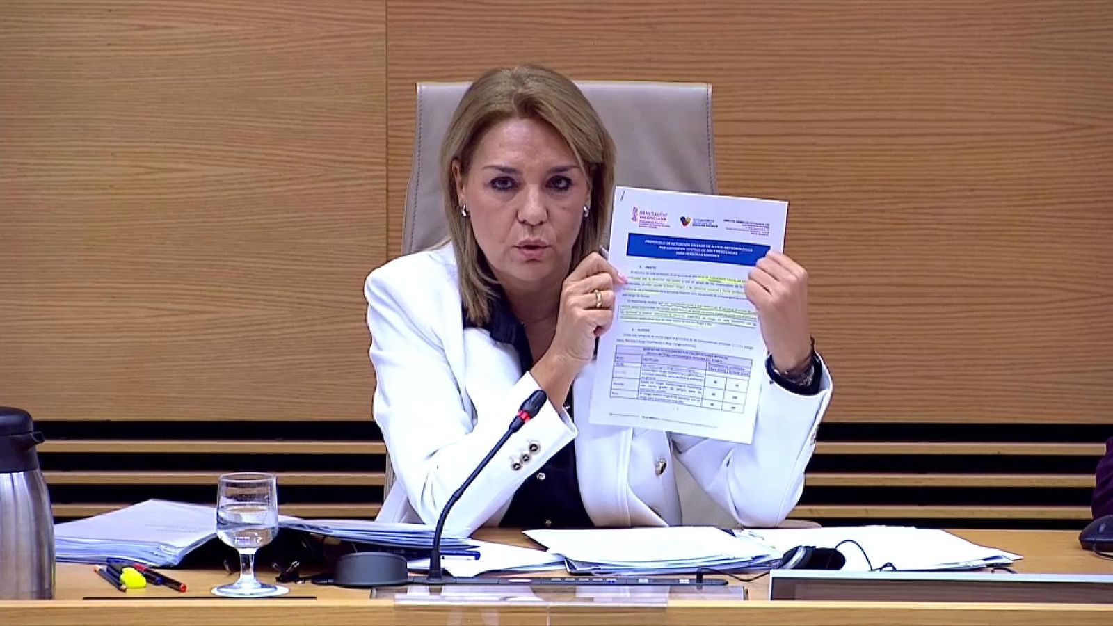 La vicepresidenta Susana Camarero a la comissió del Congrés sobre la dana