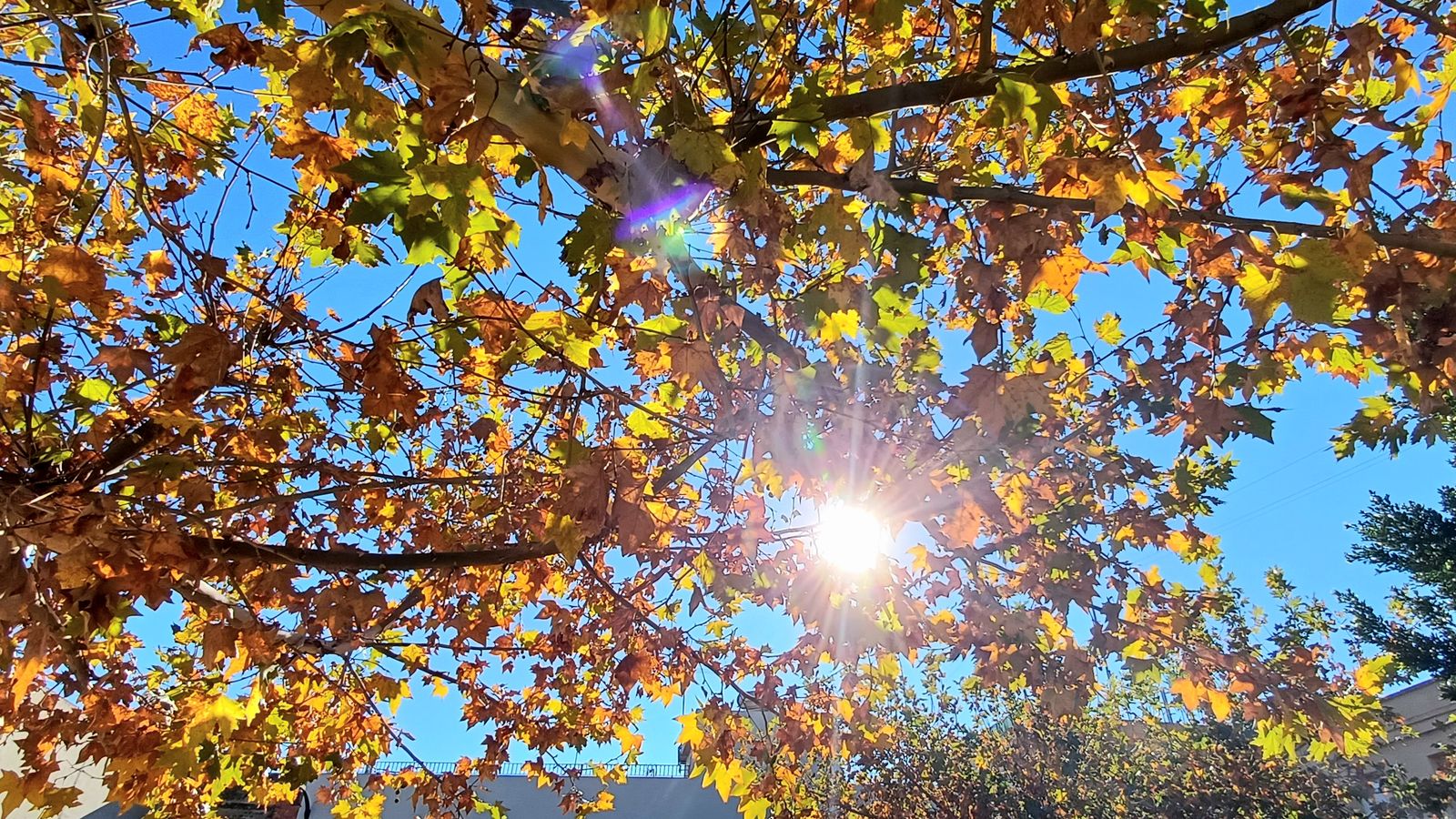 GUADASSUAR, LA RIBERA ALTA