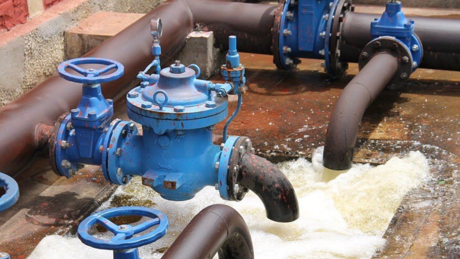 L'anàlisi de les aigües residuals permet anticipar-se a l'aparició de brots