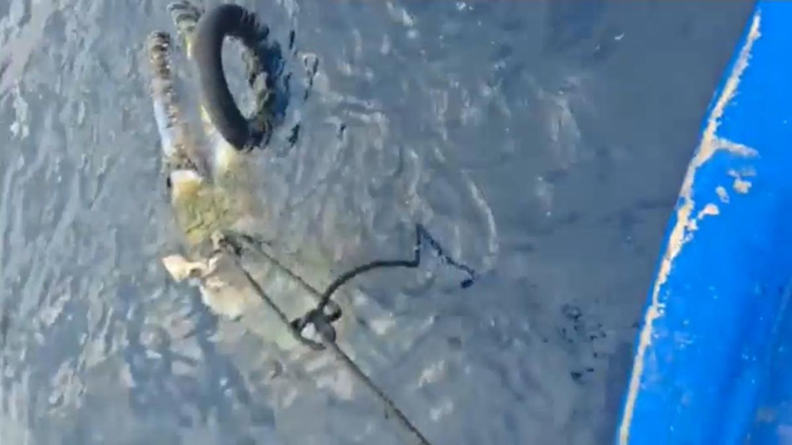 Una imatge del cos trobat aquest dimarts a la costa alacantina