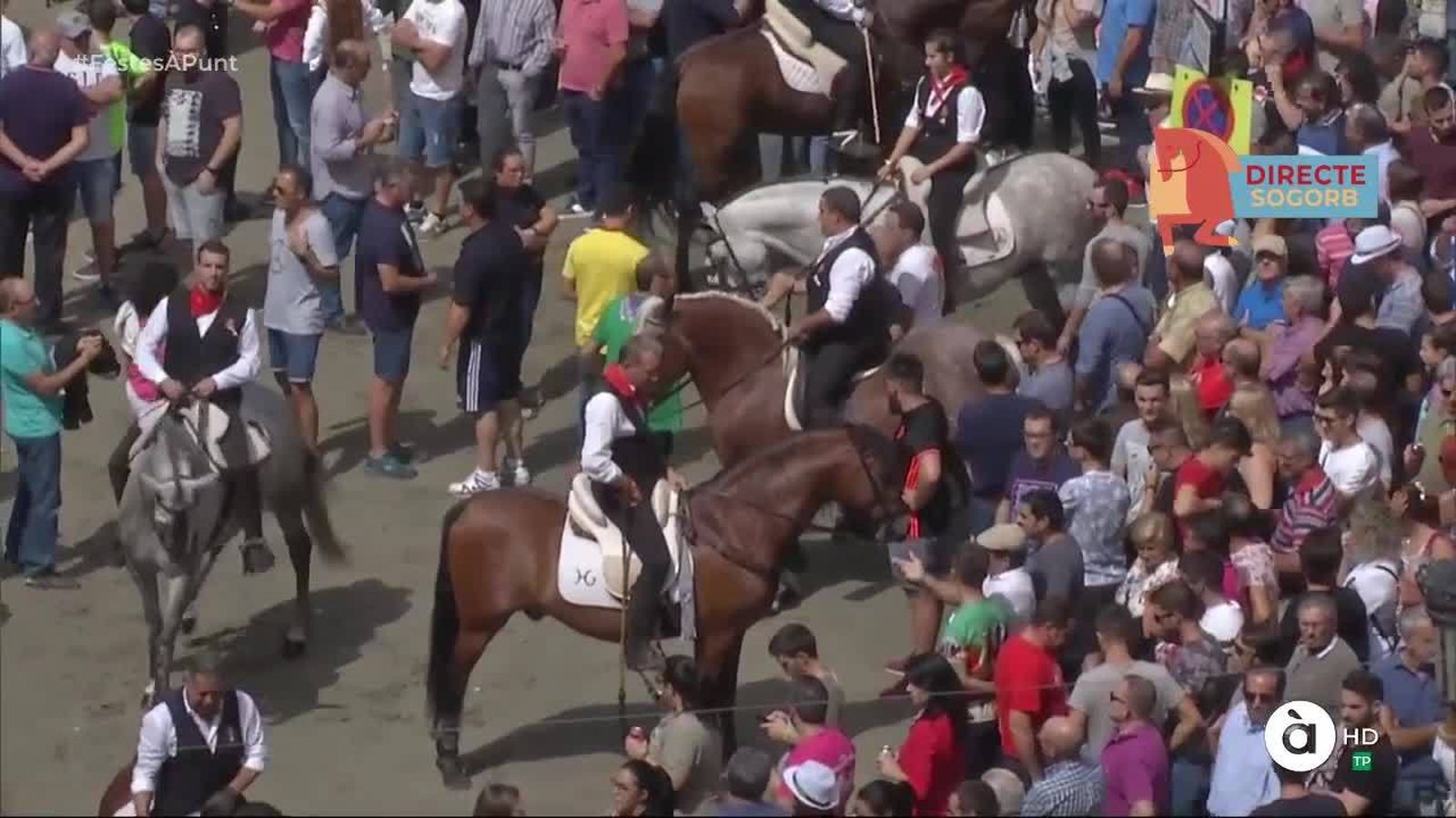 14.09.2019 | Sisena entrada de bous i cavalls de Sogorb