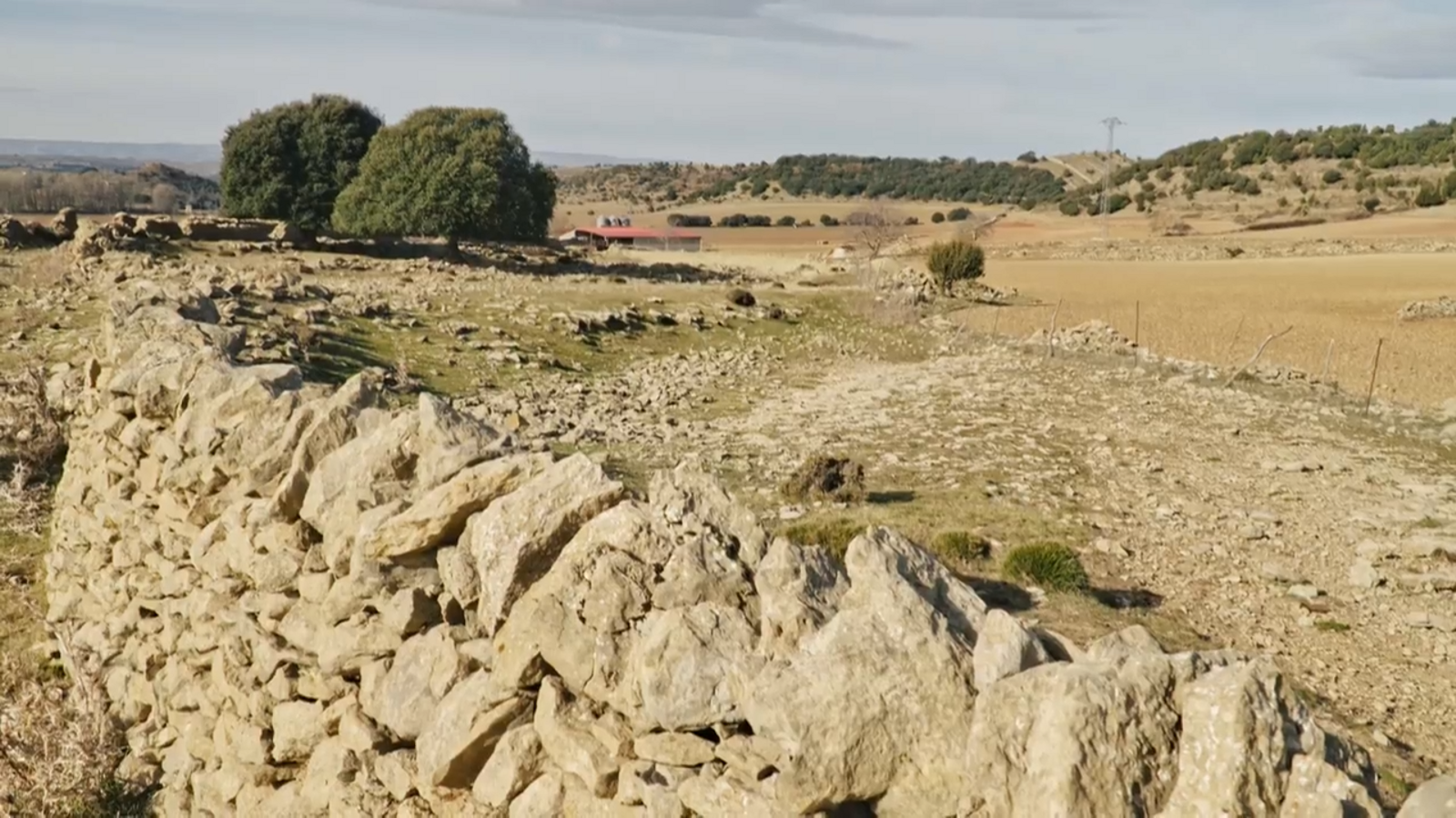 De mar i bancal | Ostres valencianes