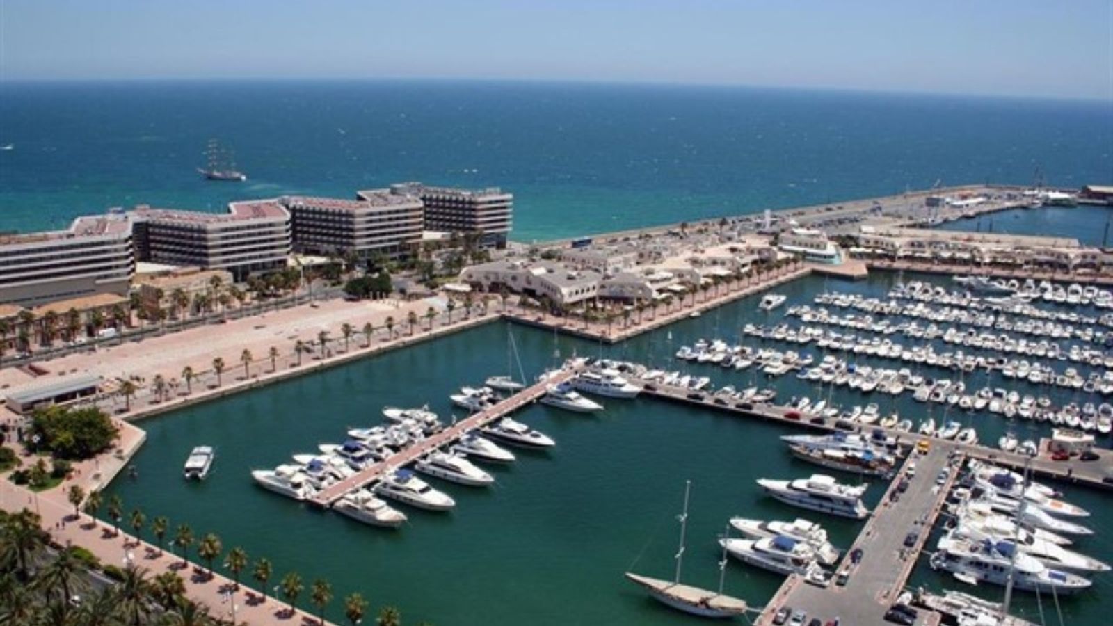 El port d\'Alacant suspén de nou el moviment de mercaderies per contaminació