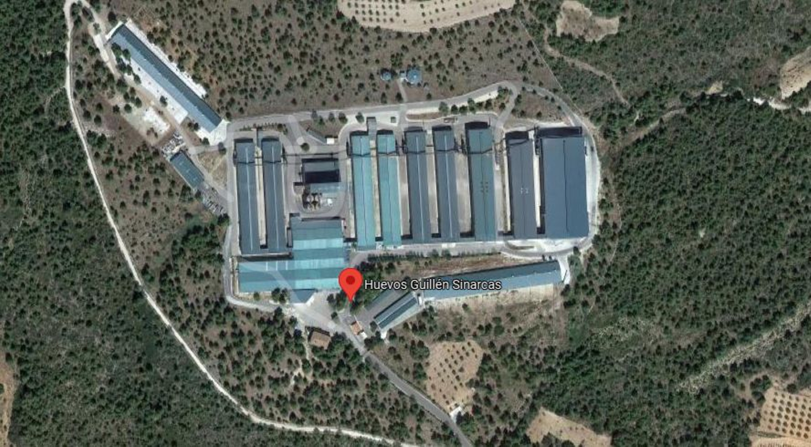 Imatge aèria de les naus de l'empresa Huevos Guillén, a Sinarques