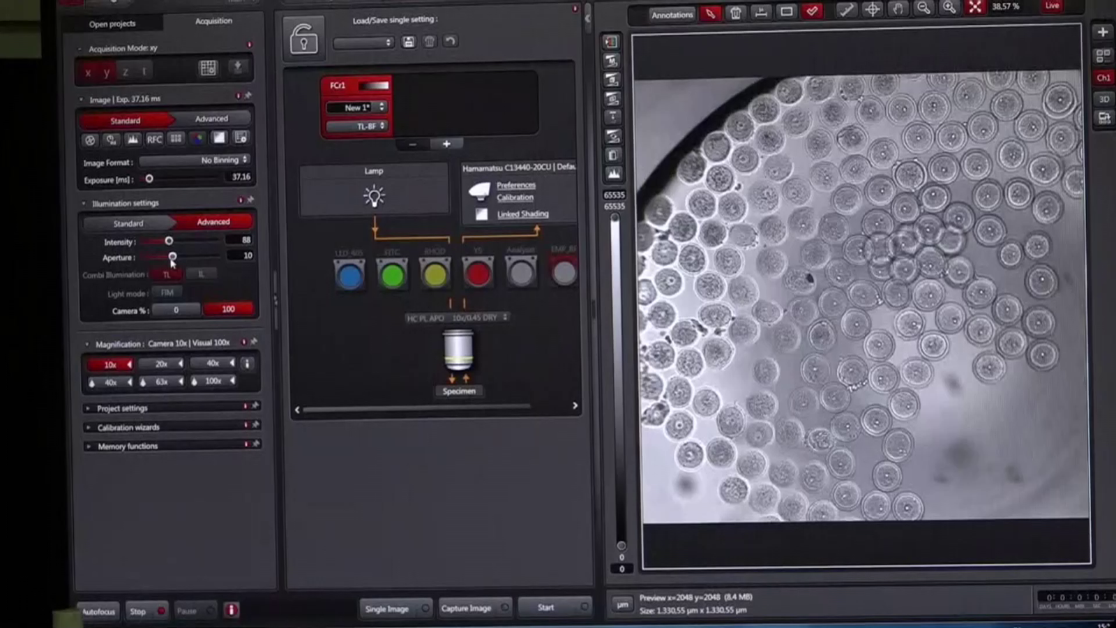 Part de la mostra de l'estudi