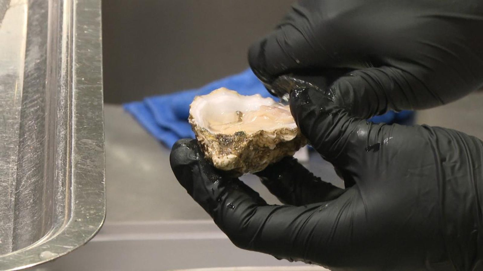 El repte de les al·lèrgies en els restaurants amb estrela Michelin