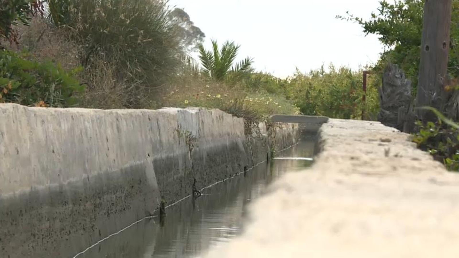 La comissió tècnica de la Mesa Provincial de l’Aigua vol conéixer la situació del Tajo-Segura i del Xúquer-Vinalopó.