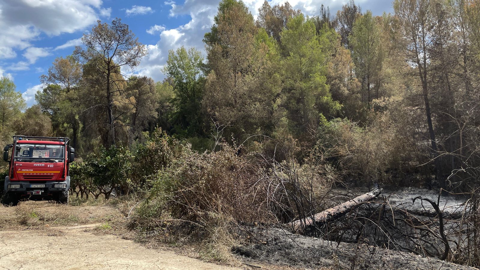 Bombers del Consorci treballen sobre el terreny cremat