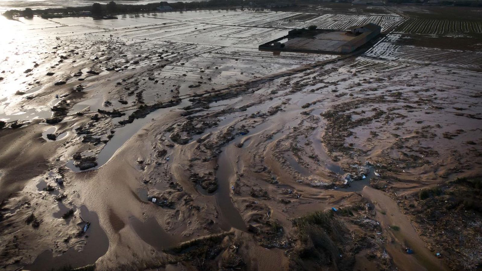 Estat del parc natural de l'Albufera, després de la DANA