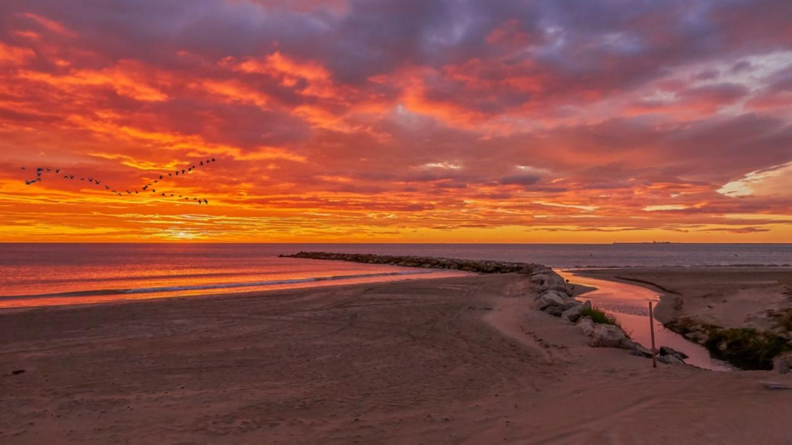 ALBORAIA, L'HORTA NORD