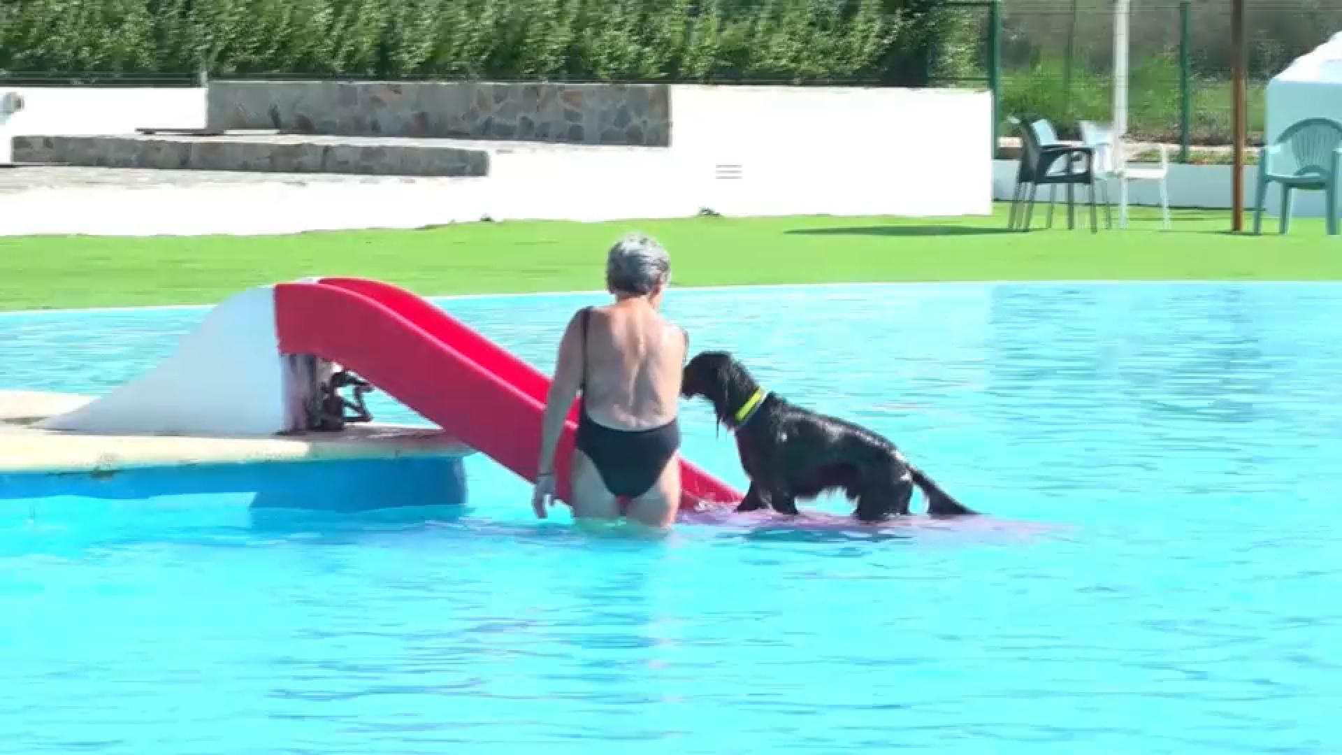 Resort per a gossos a Ondara