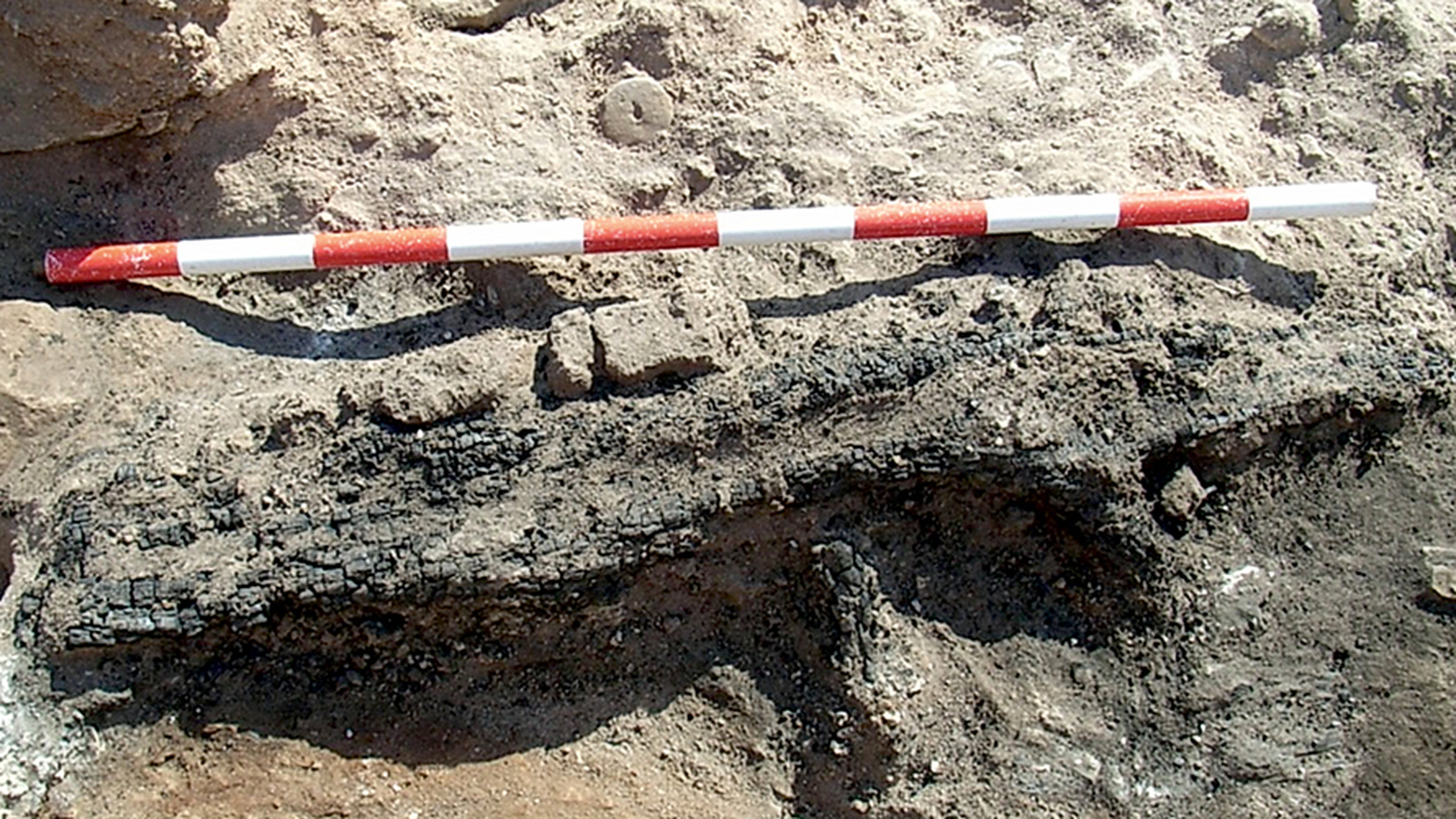 Teler trobat a Villena