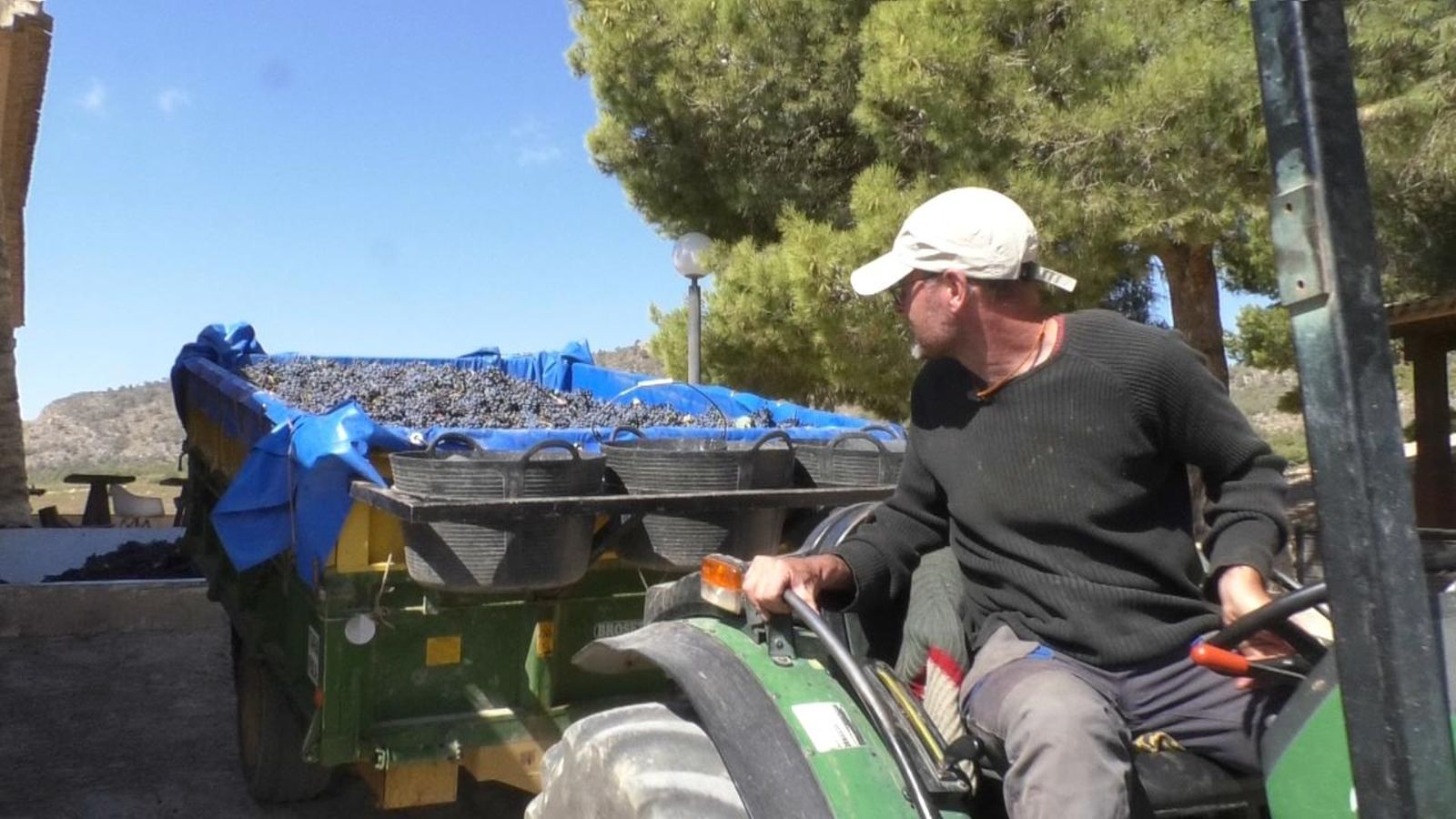 Menys vi, però més bo