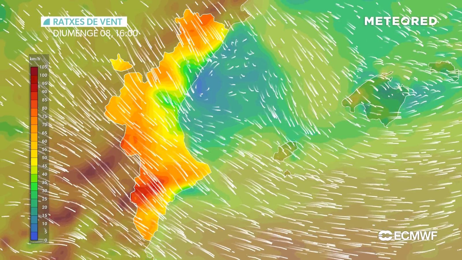 Diumenge tornen els avisos per vent fort
