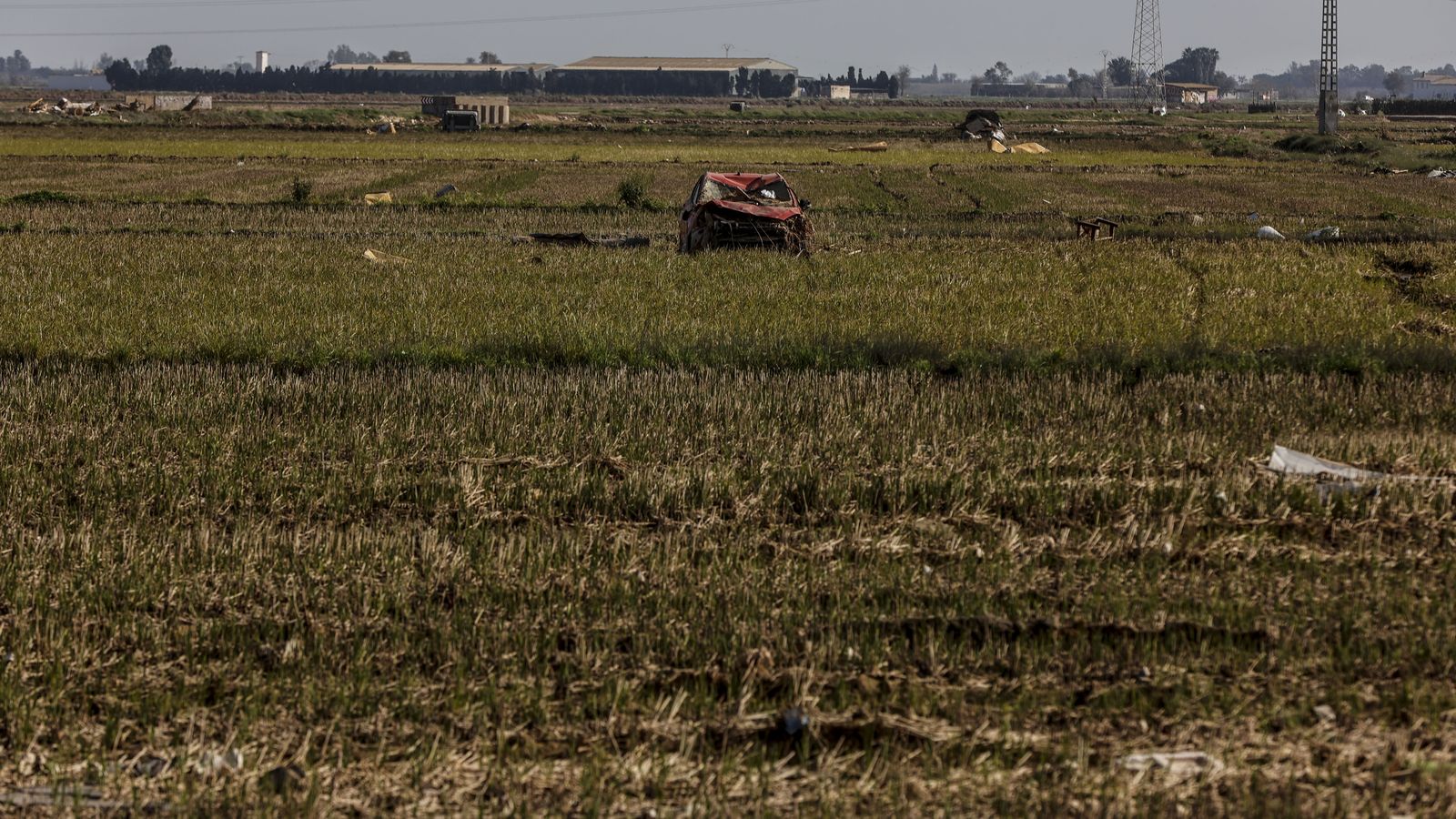 Restes de la dana en un camp d'arrossars en els voltants de l'Albufera