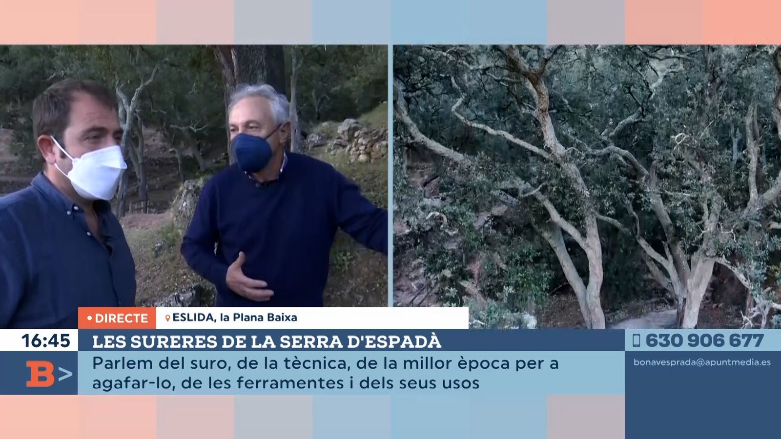 17.02.2022 | Les sureres de la Serra d'Espadà
