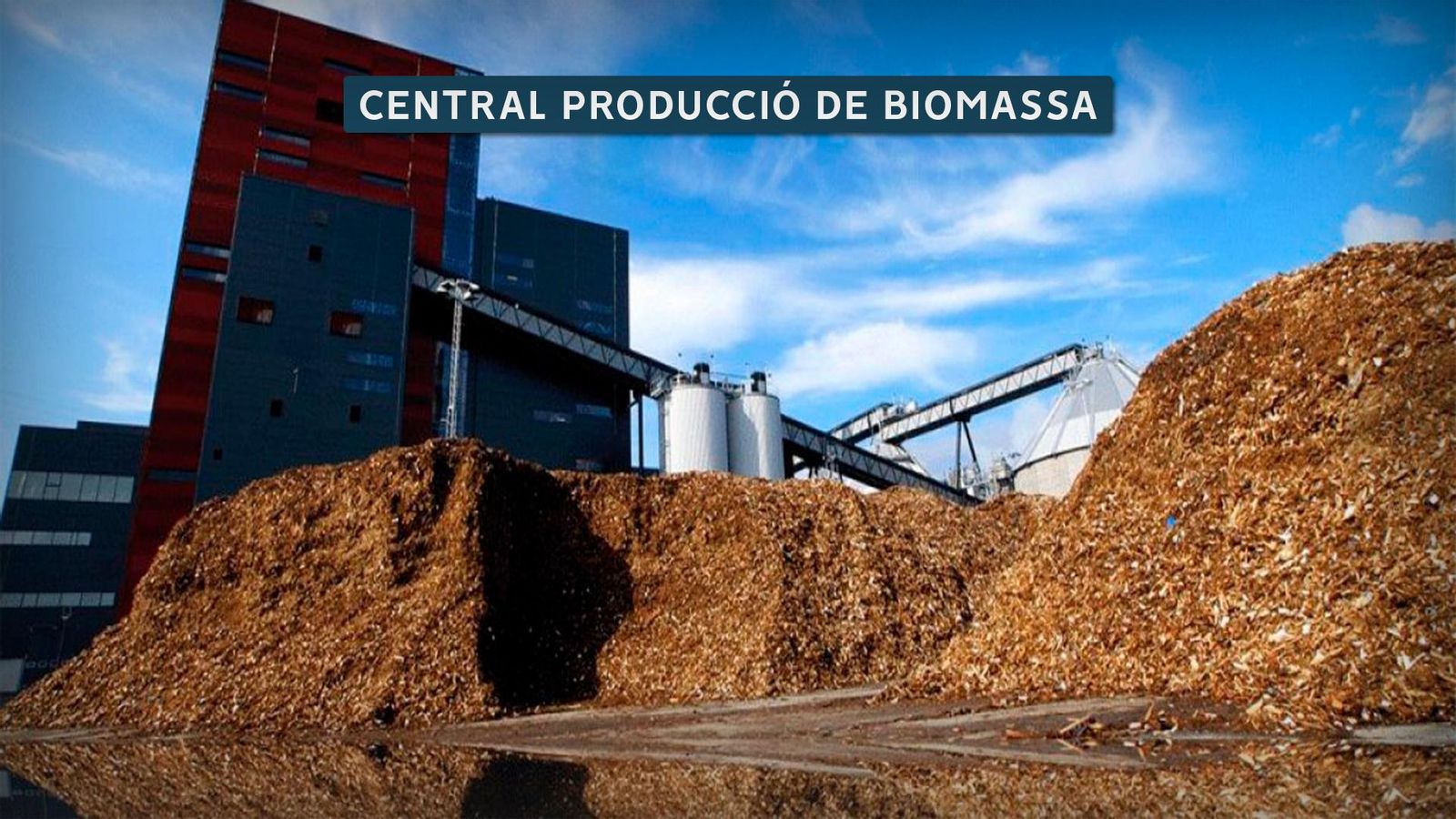 01 CENTRAL PRODUCCIÓ DE BIOMASSA