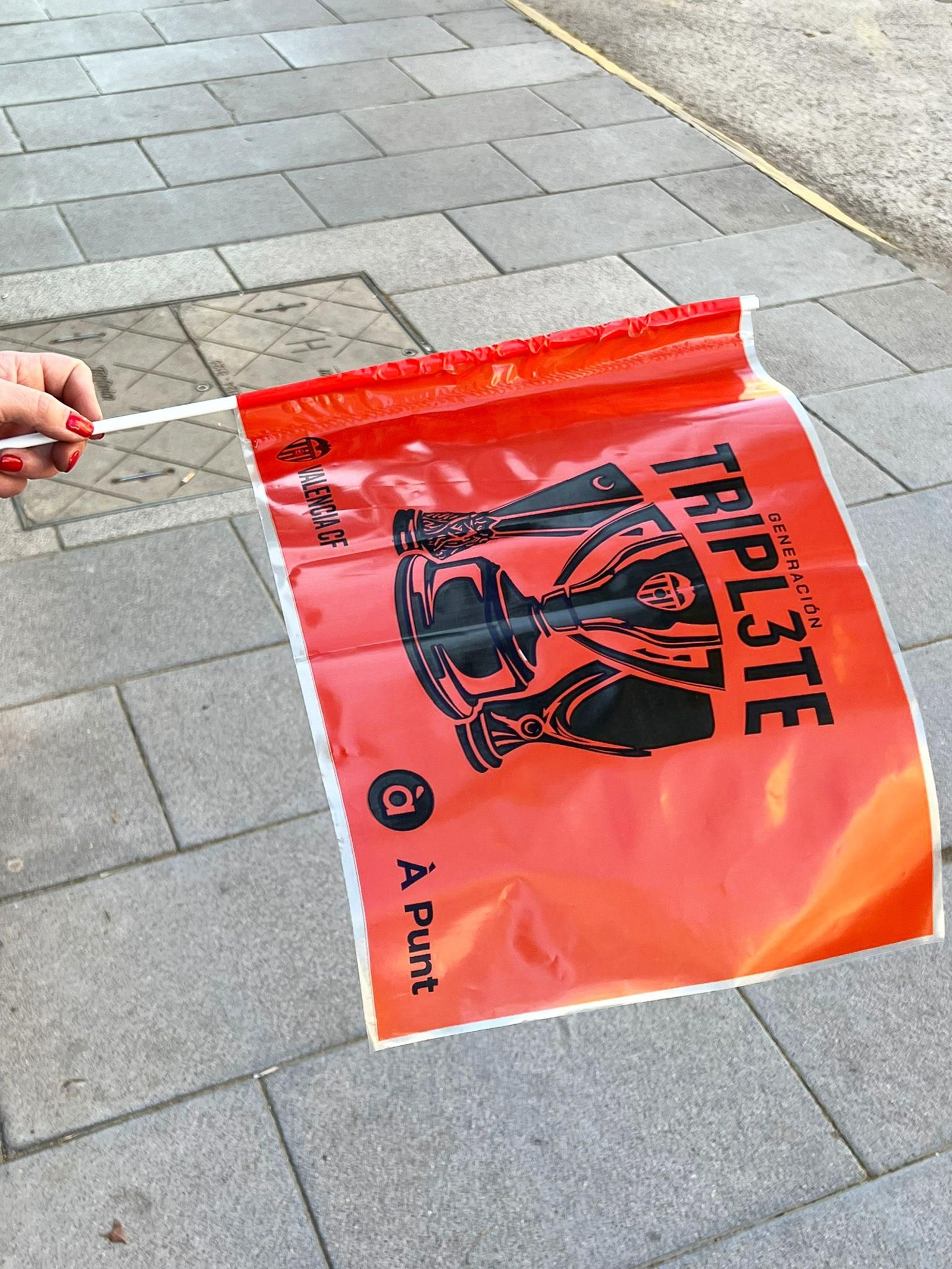 Banderes commemoratives Generació Triplet