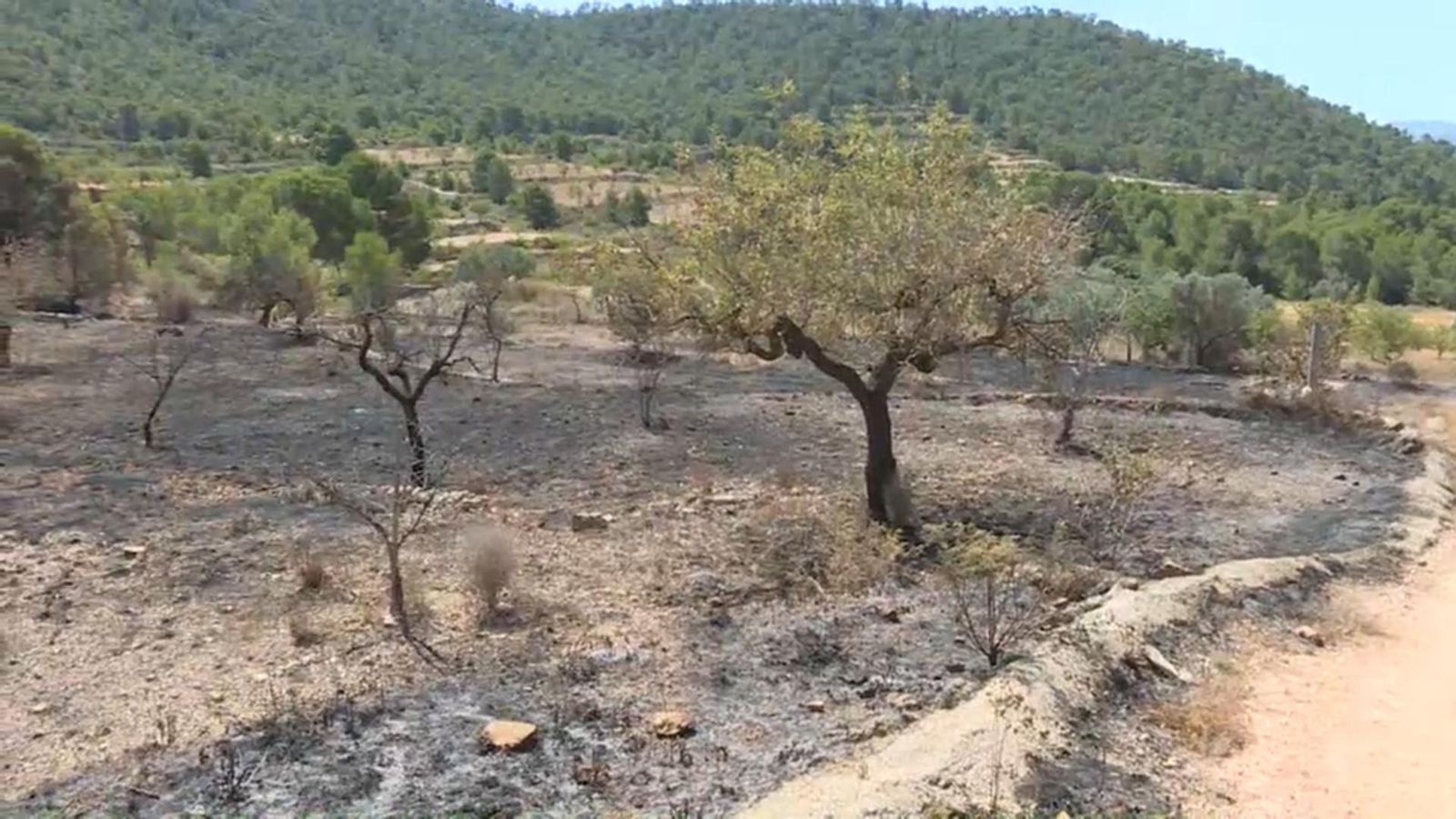 L'incendi forestal ha arrasat més de 150 hectàrees