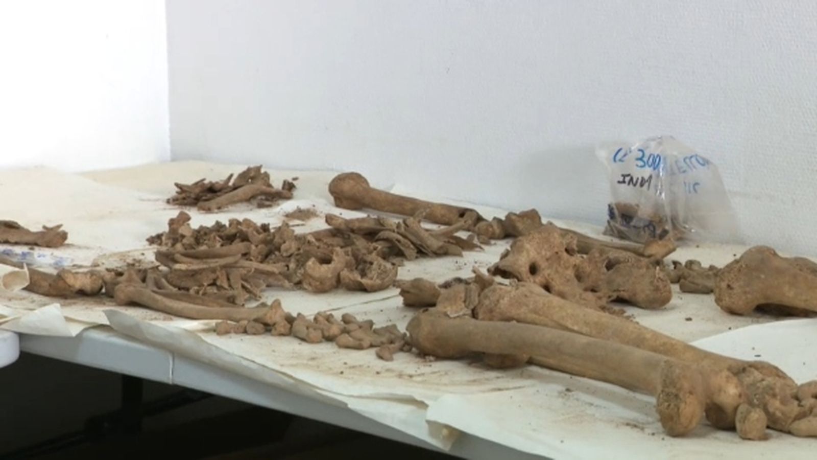 Les exhumacions de Castelló permeten recuperar 18 cossos