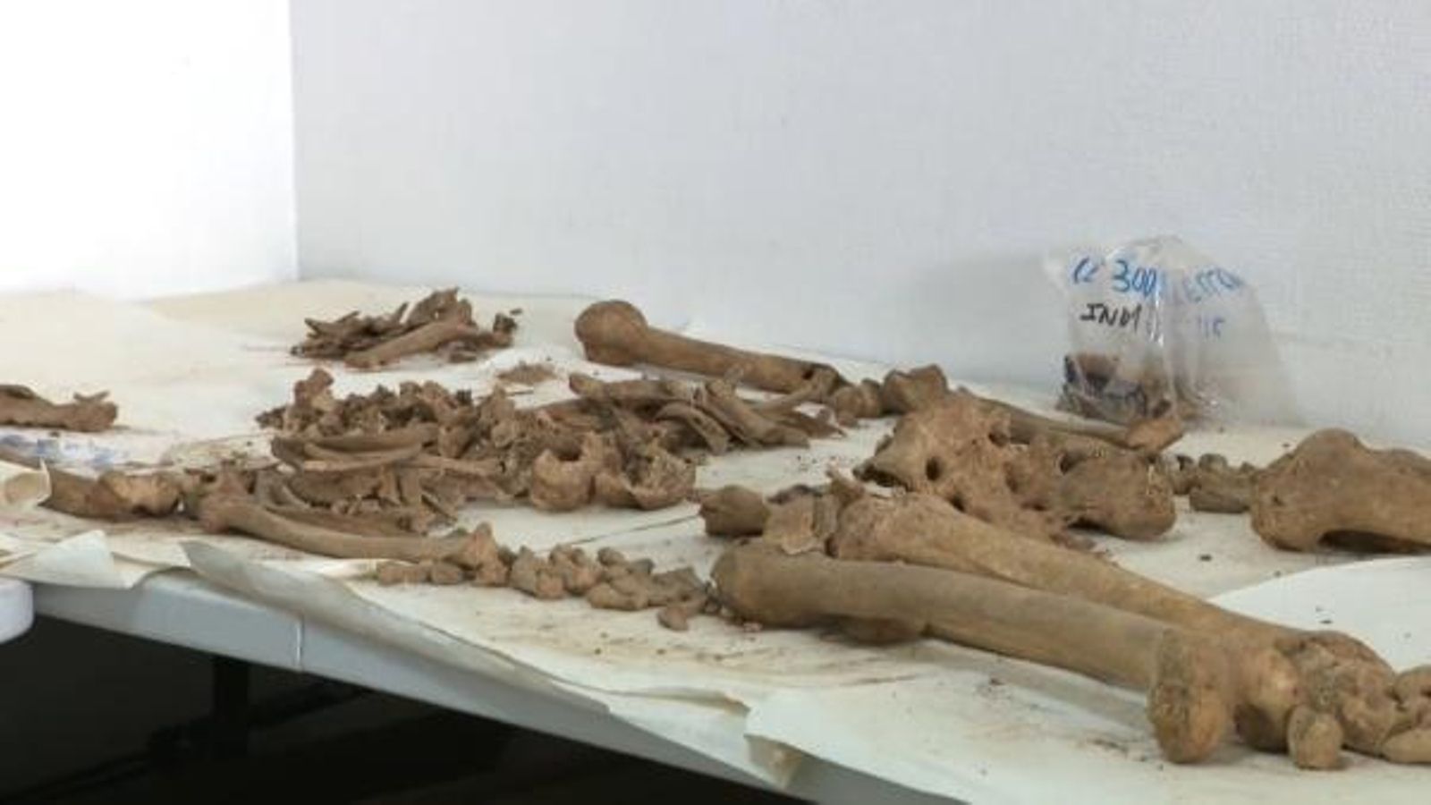 Les exhumacions de Castelló permeten recuperar 18 cossos