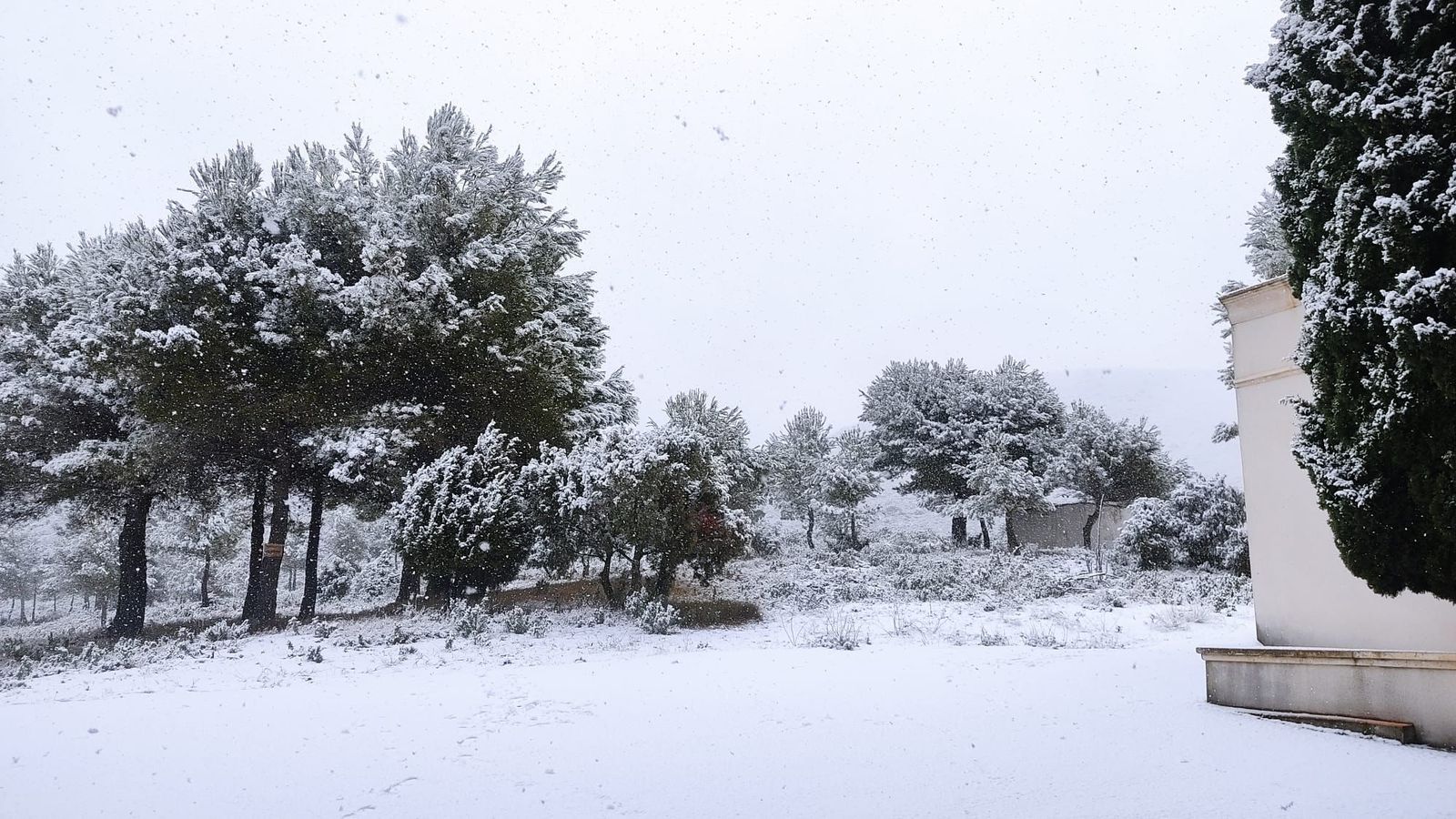 A l'interior de la Marina Alta i la part est del Comtat s'han acumulat un gruix de quatre centímetres de neu