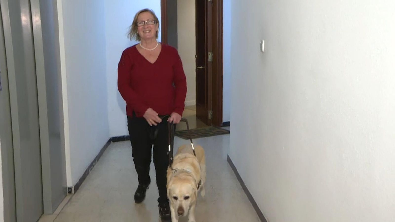 Maite, una usuària de gos pigall, va tindre un "desagradable incident" a una sabateria de València