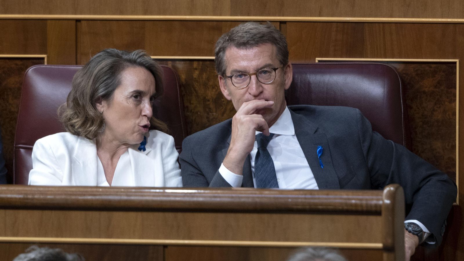 La secretària general i portaveu del Partit Popular, Cuca Gamarra, i el seu president, Alberto Núñez Feijóo, en el Congrés dels Diputats durantel debat de l'estat de nació