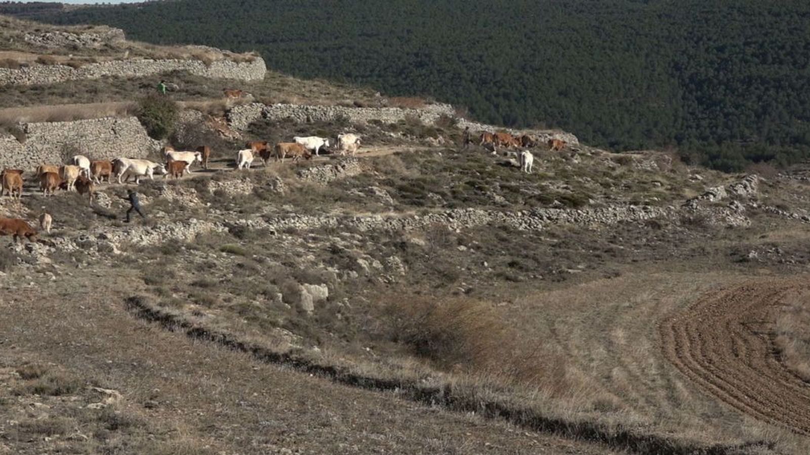 21.01.2019 | Paisatges de pedra seca