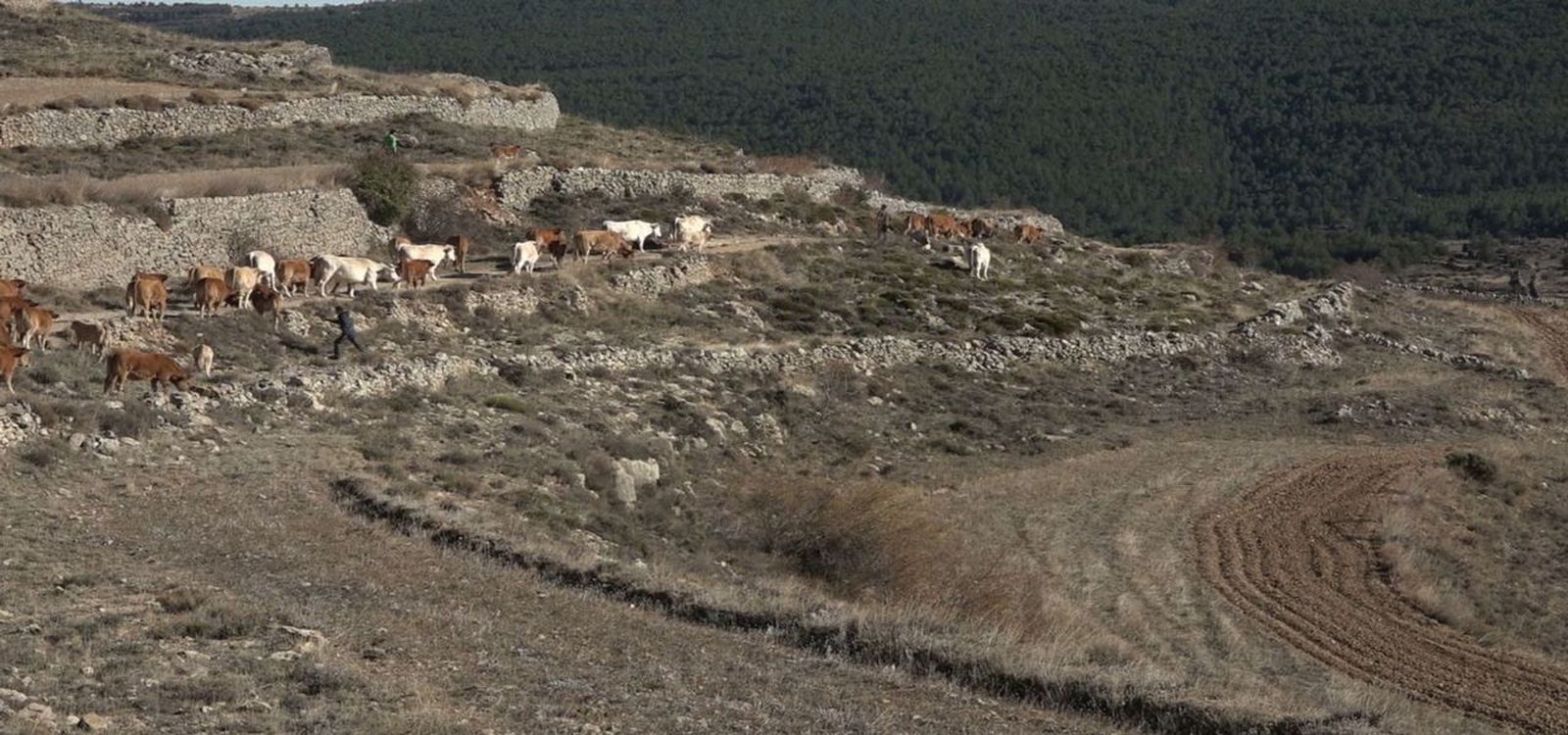21.01.2019 | Paisatges de pedra seca
