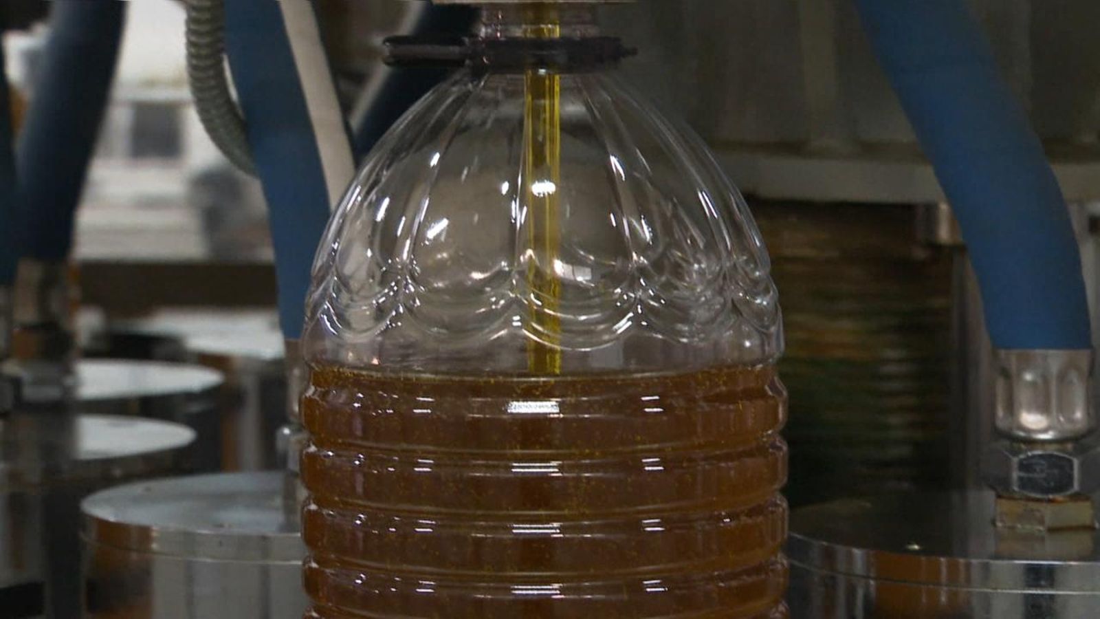 Alternatives saludables a l'oli d'oliva