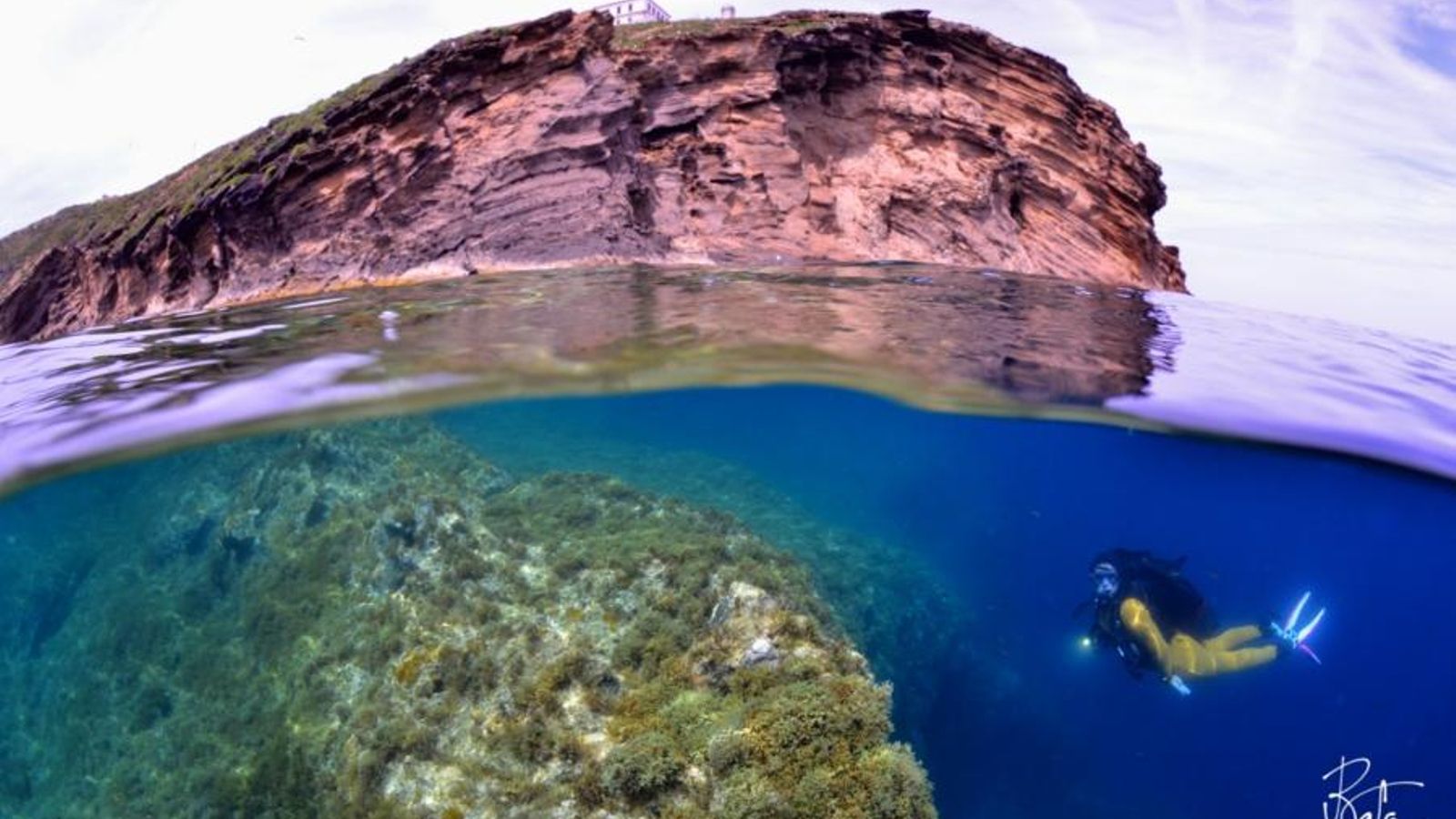 Fotografia guanyadora realitzada pel campió del món de fotografia subaquàtica