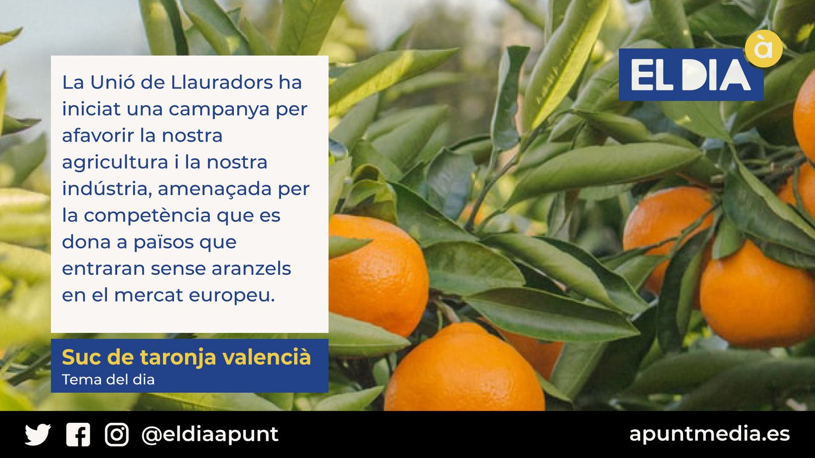 01.10.2020 | El dia À Punt | Primera hora