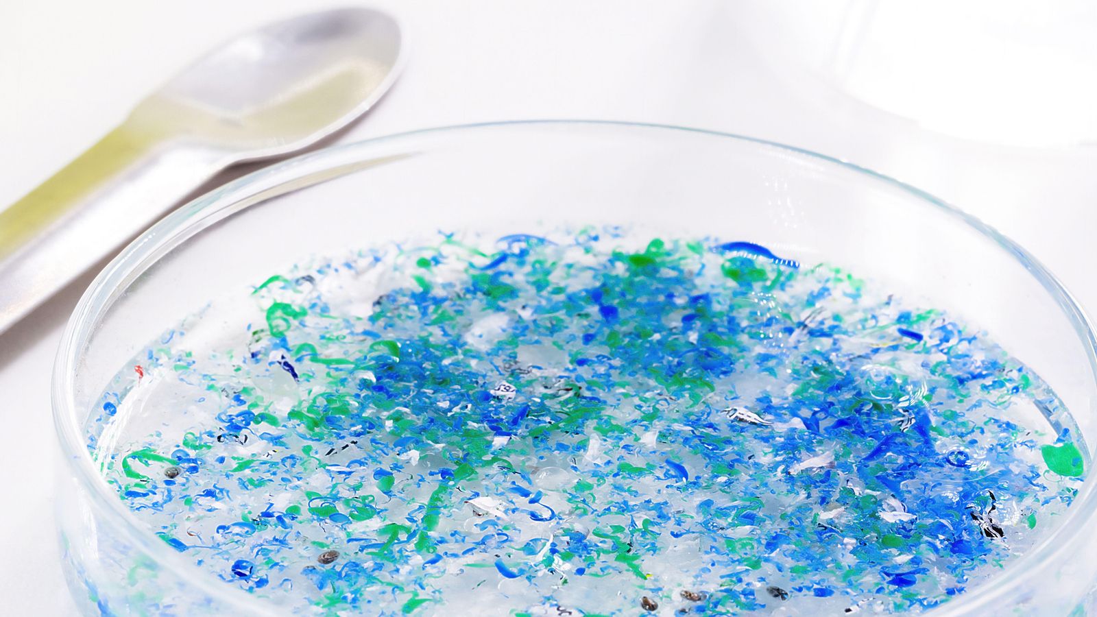 Els microplàstics poden acumular-se en els òrgans i afectar la salut cel·lular