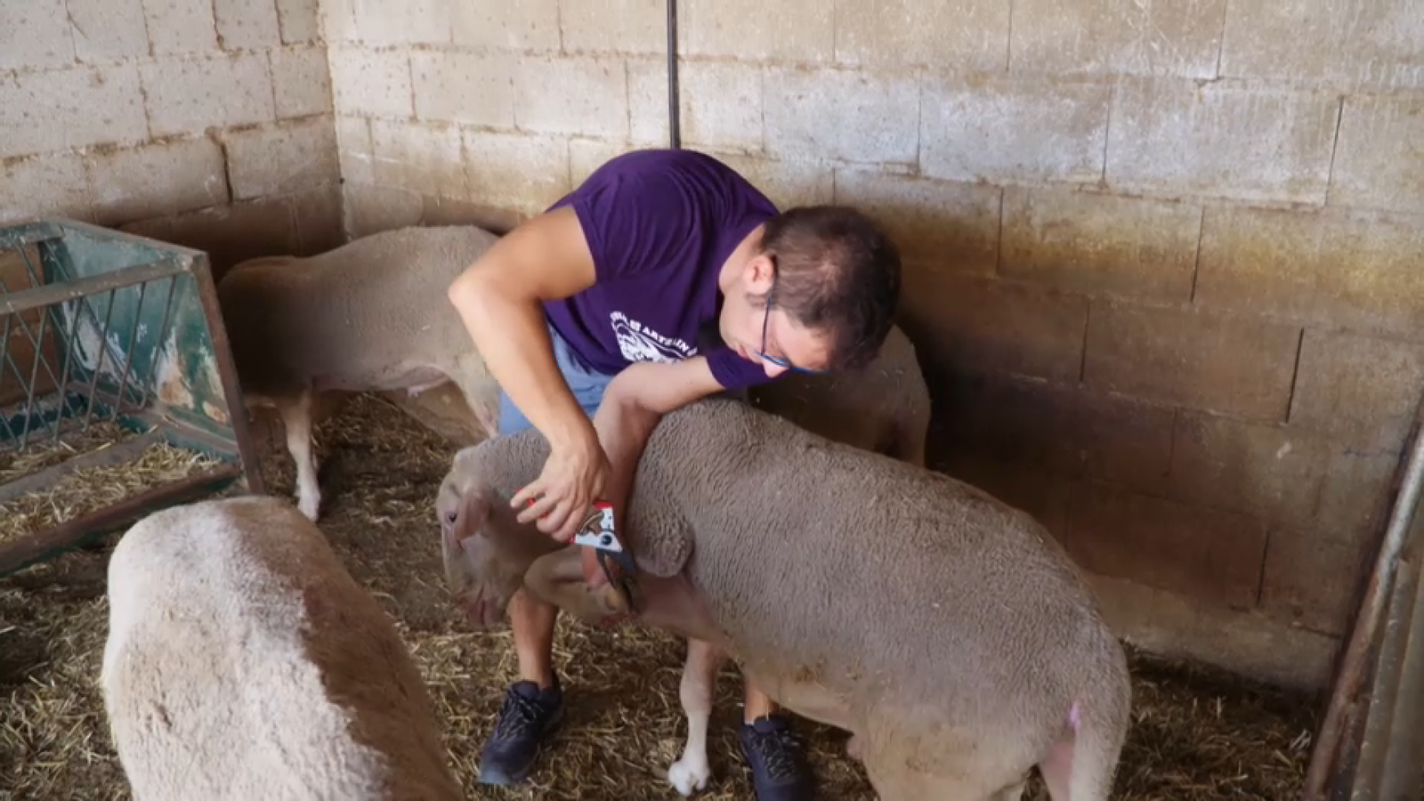 Jordi ha mostrat a 'De mar i bancal' com és el seu treball